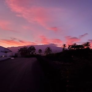 Meet your Posher, Angeline